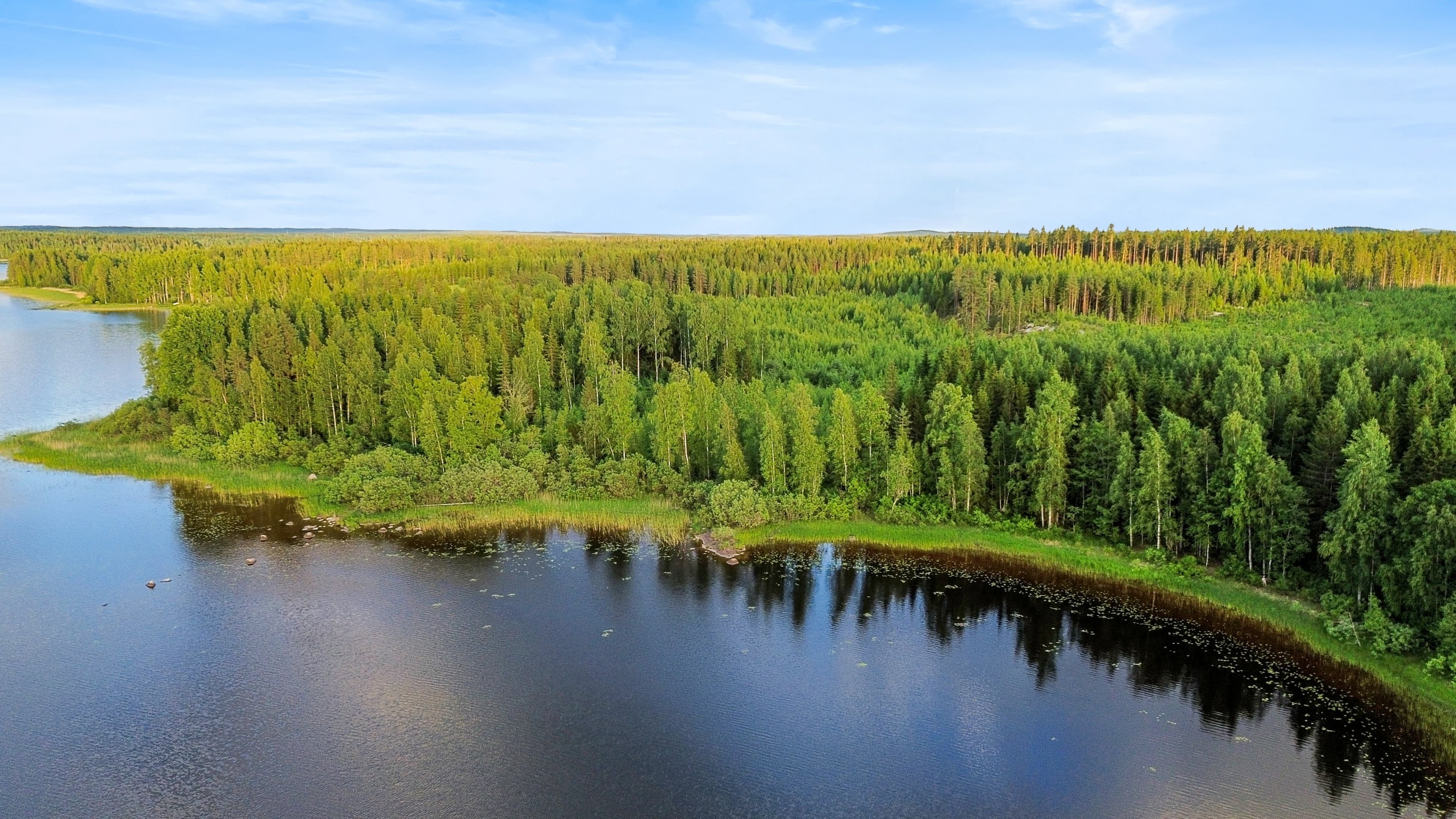 Rauhalammintie, Mänttä-Vilppula