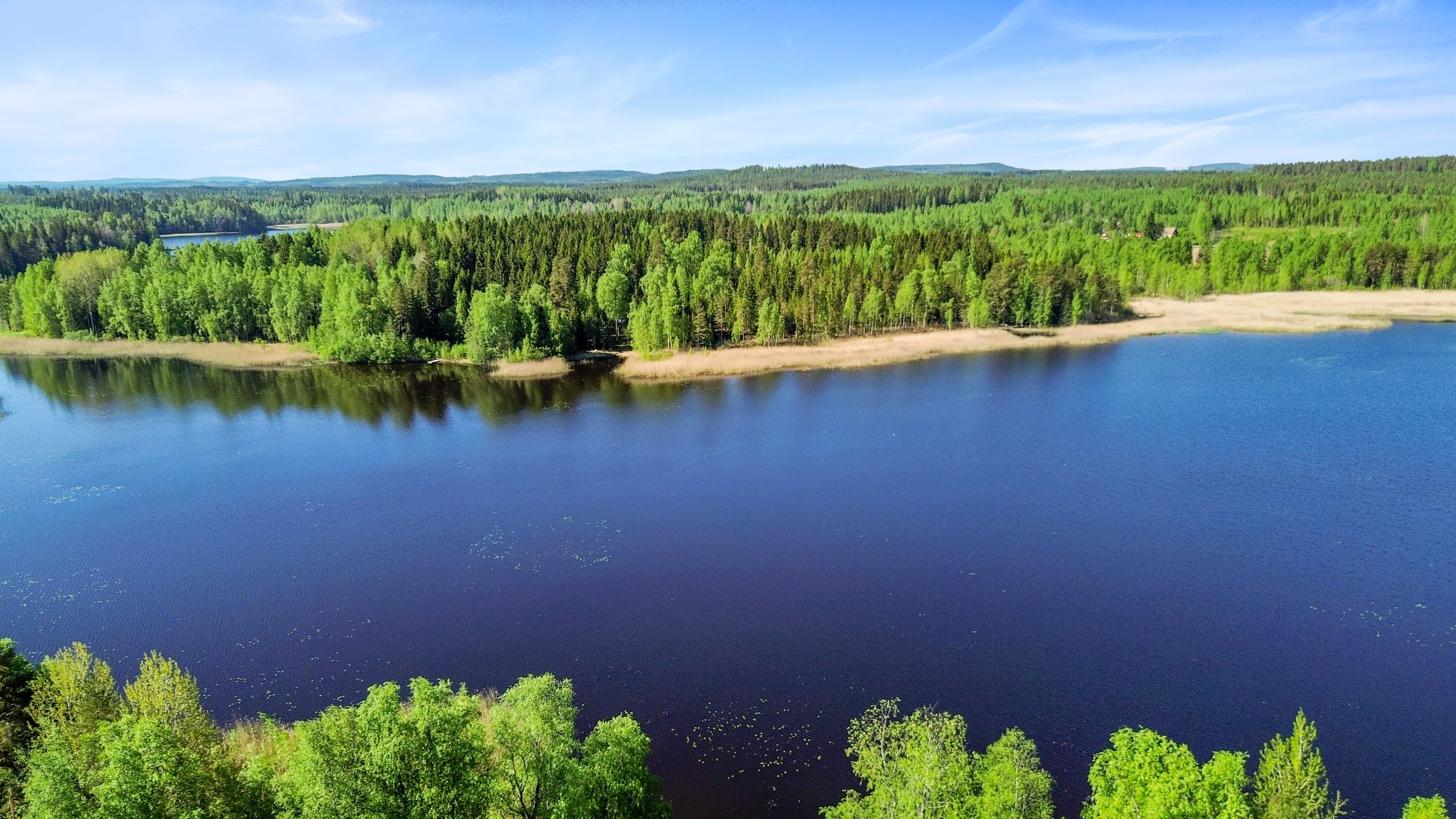 Harjulantie 14, Mänttä-Vilppula