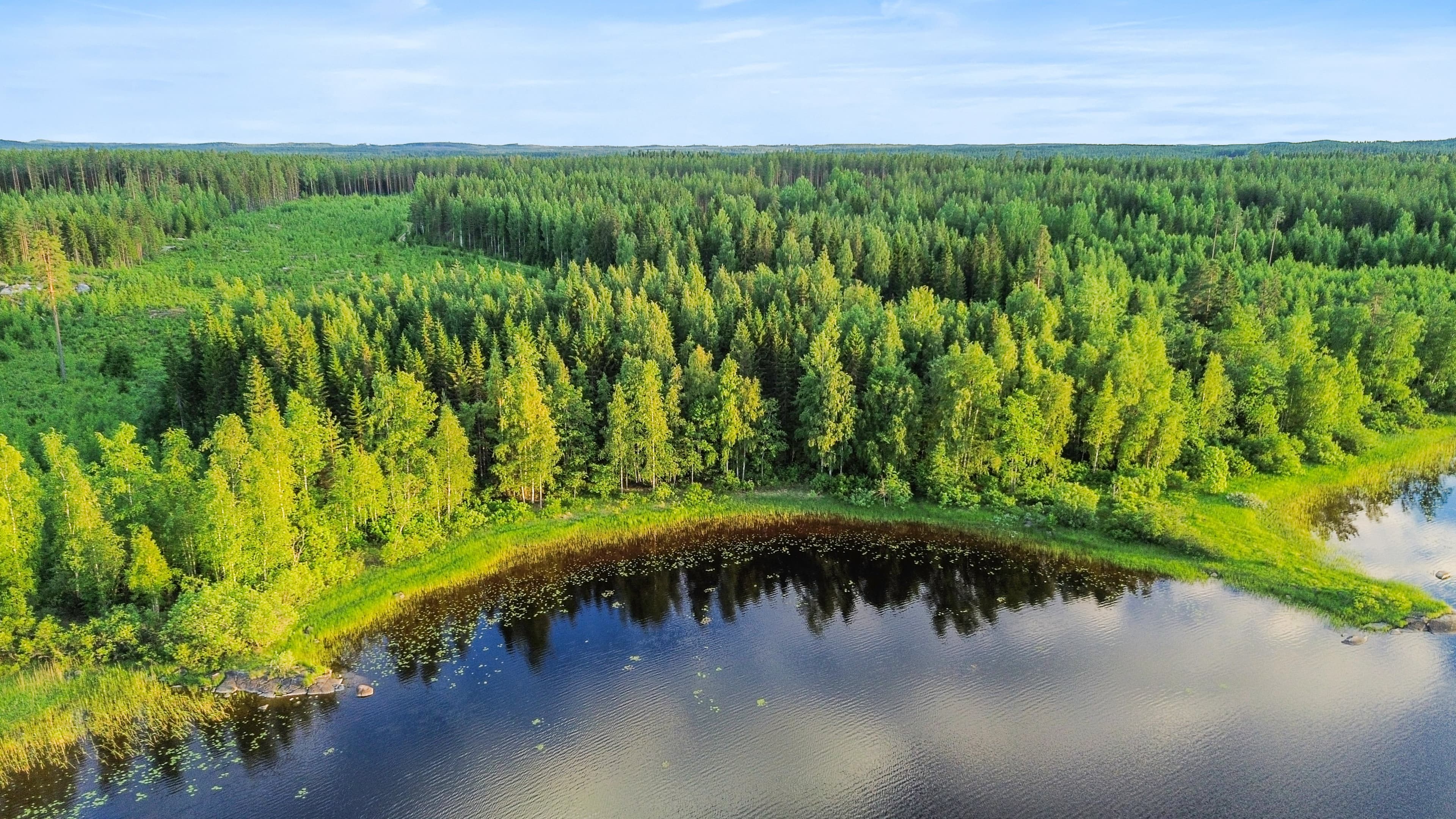 Rauhalammintie, Mänttä-Vilppula