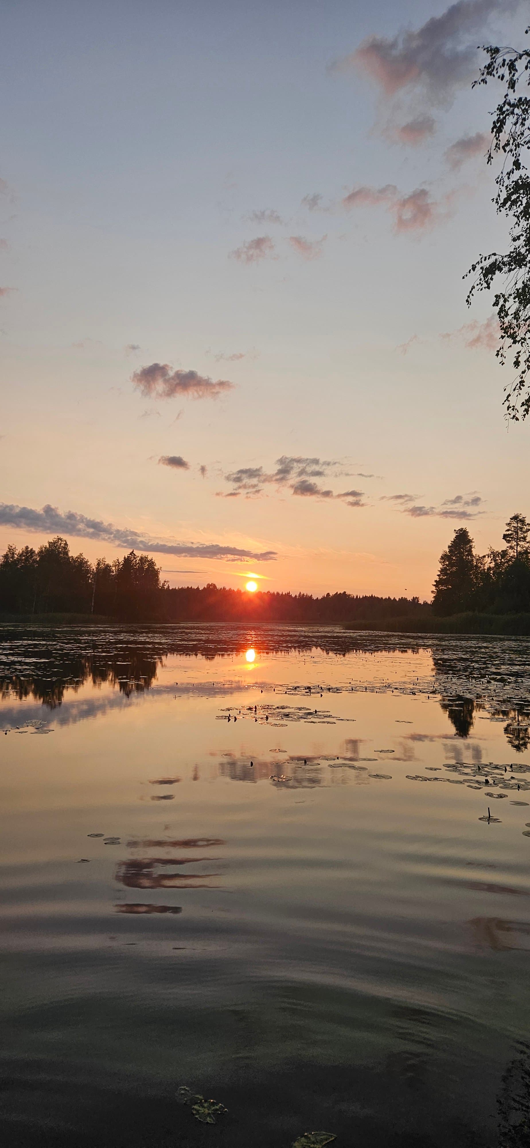 Harjulantie 14, Mänttä-Vilppula