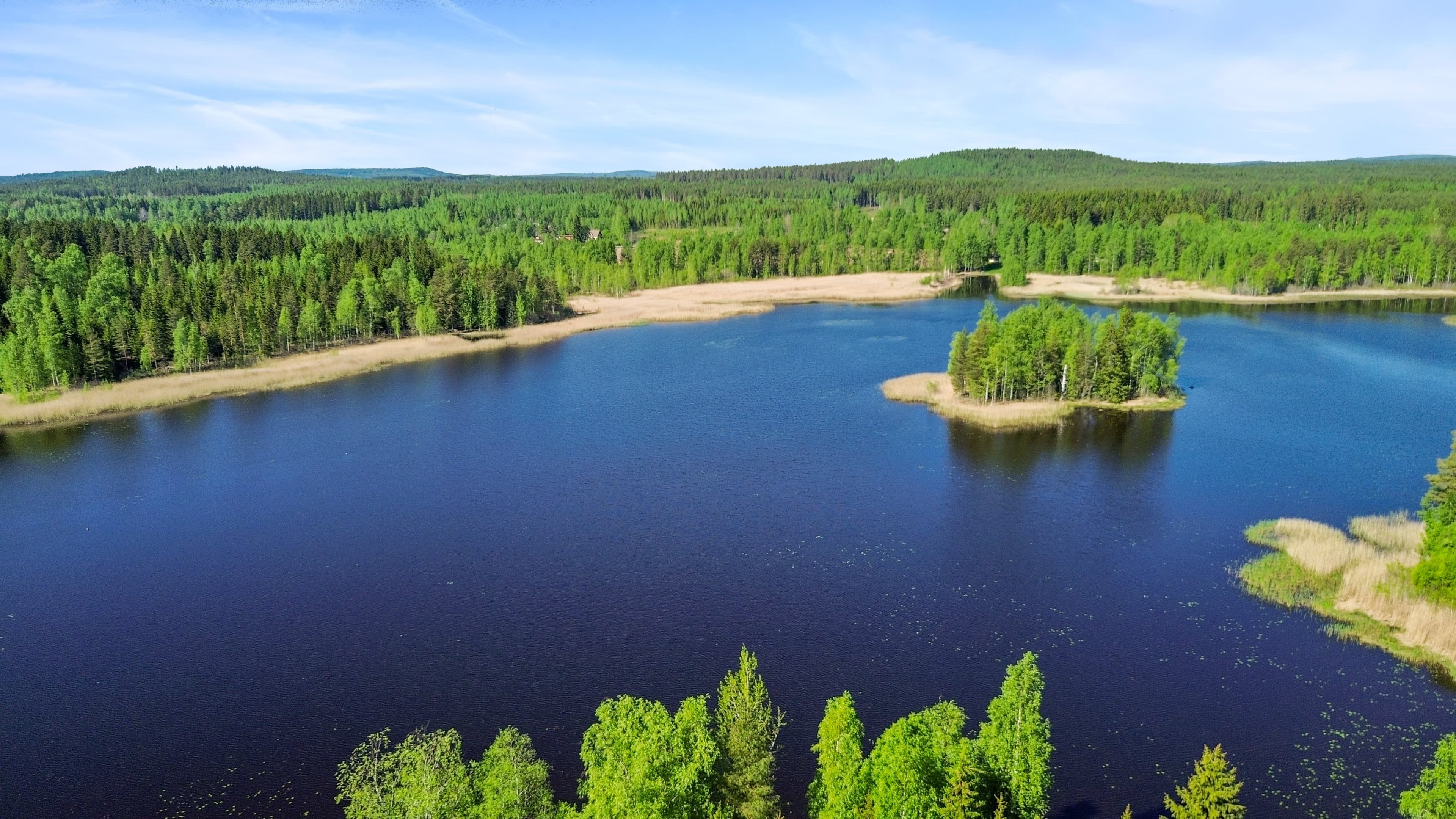 Harjulantie 14, Mänttä-Vilppula