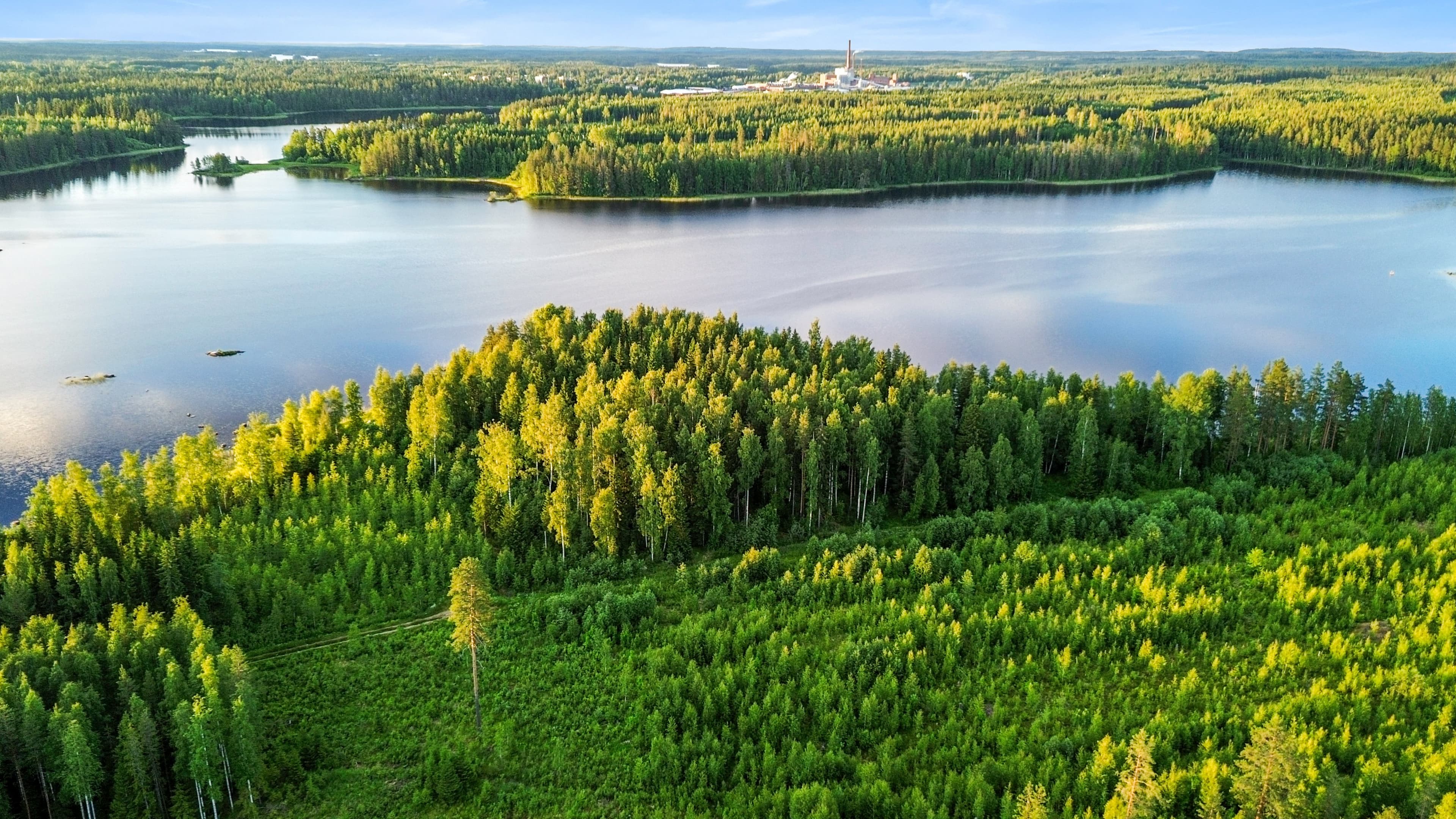 Rauhalammintie, Mänttä-Vilppula