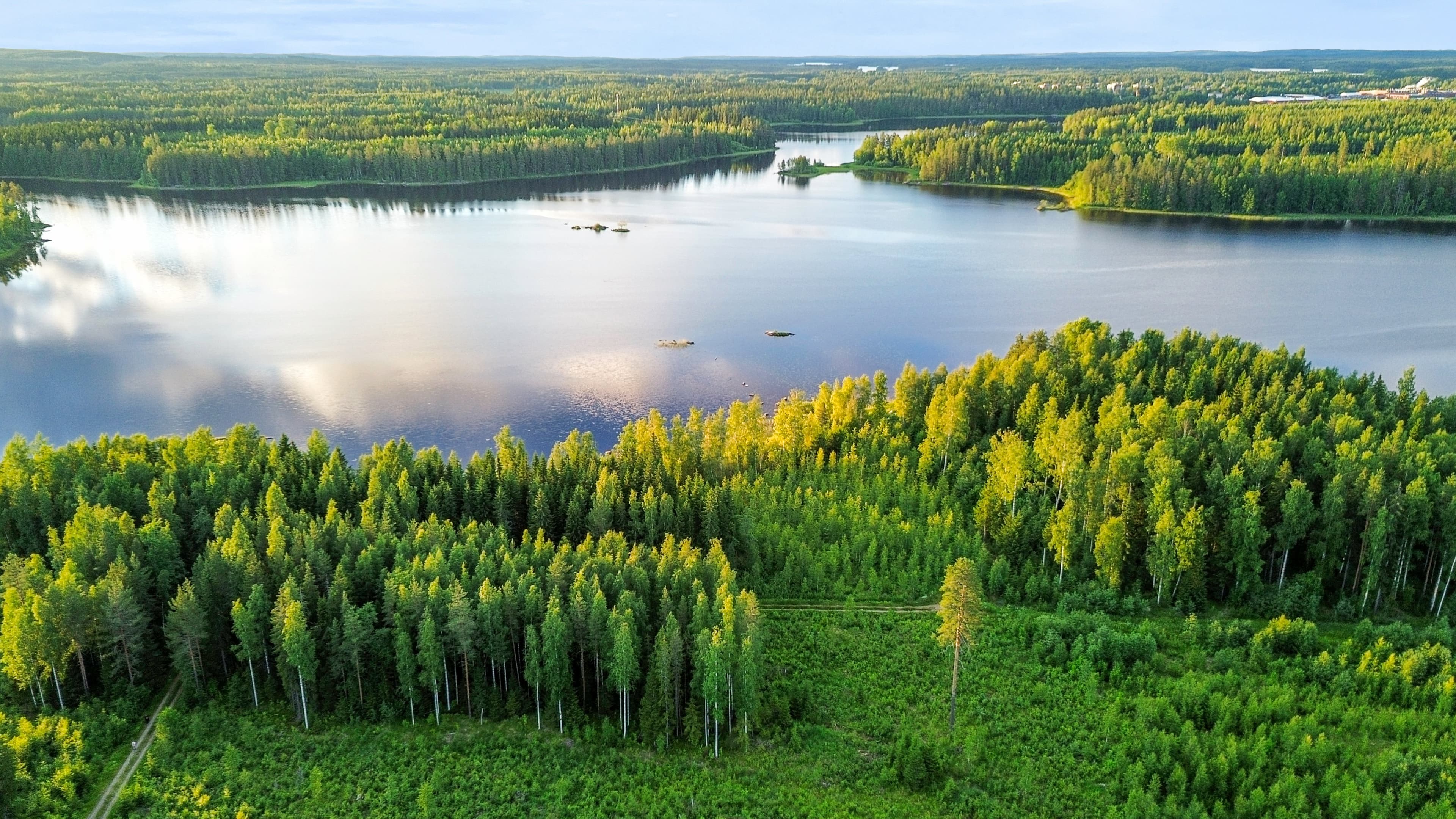 Rauhalammintie, Mänttä-Vilppula